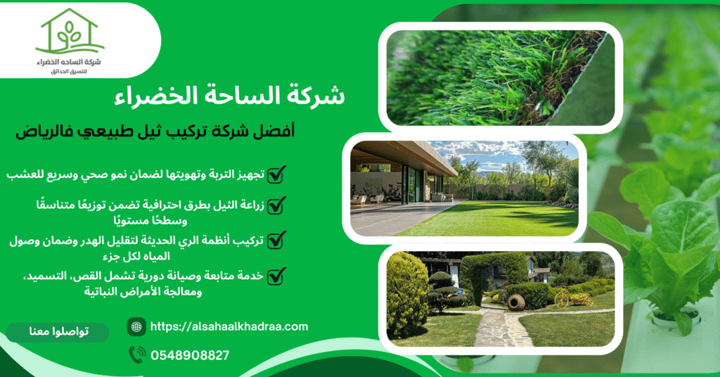 الساحة الخضراء لتركيب